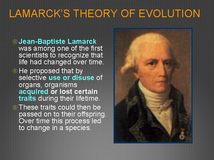 LAMARCK’S THEORY OF EVOLUTION Jean-Baptiste Lamarck was among one of the first scientists to