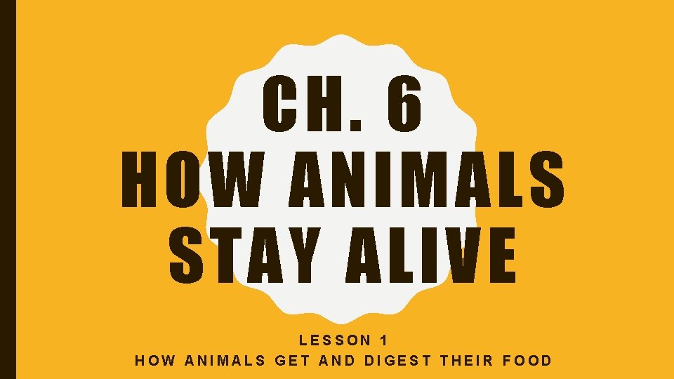 CH. 6 HOW ANIMALS STAY ALIVE LESSON 1 HOW ANIMALS GET AND DIGEST THEIR
