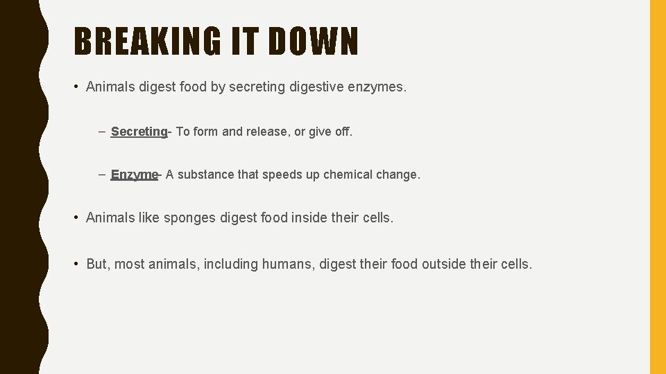 BREAKING IT DOWN • Animals digest food by secreting digestive enzymes. – Secreting- To