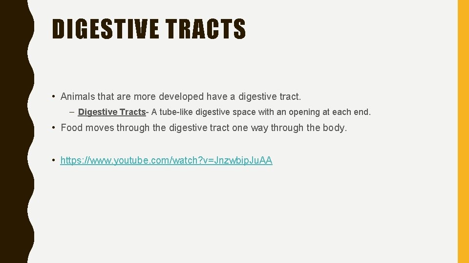 DIGESTIVE TRACTS • Animals that are more developed have a digestive tract. – Digestive