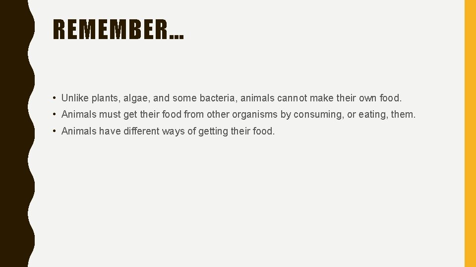 REMEMBER… • Unlike plants, algae, and some bacteria, animals cannot make their own food.