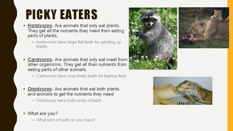 PICKY EATERS • Herbivores- Are animals that only eat plants. They get all the