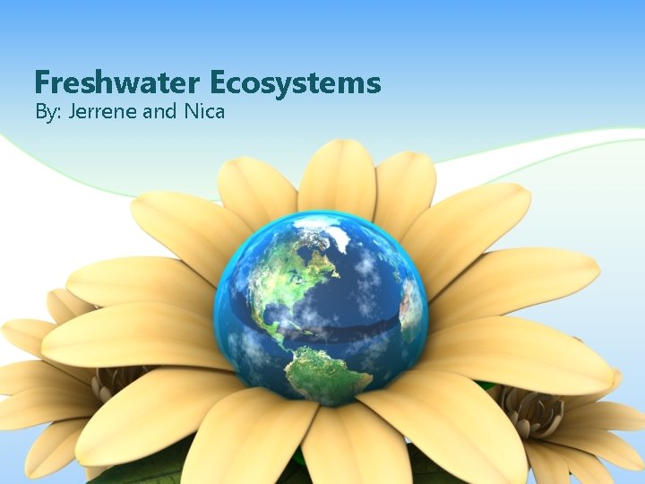 Freshwater Ecosystems By: Jerrene and Nica 
