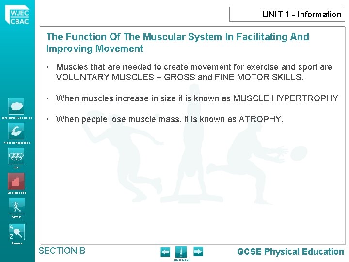 UNIT 1 - Information The Function Of The Muscular System In Facilitating And Improving