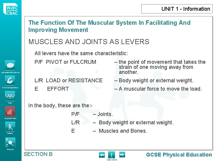 UNIT 1 - Information The Function Of The Muscular System In Facilitating And Improving
