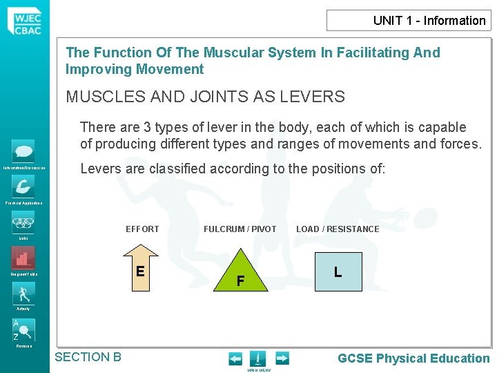 UNIT 1 - Information The Function Of The Muscular System In Facilitating And Improving