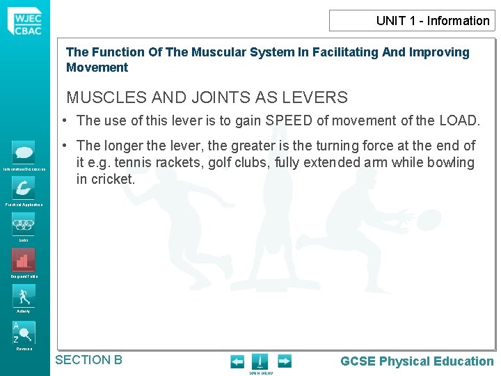 UNIT 1 - Information The Function The Muscular System In Facilitating And Improving The