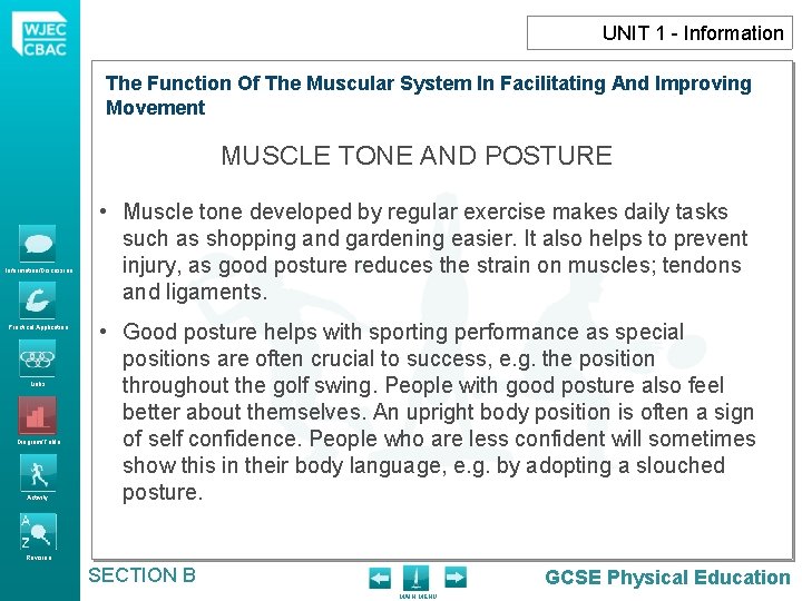 UNIT 1 - Information The Function The Muscular System In Facilitating And Improving The