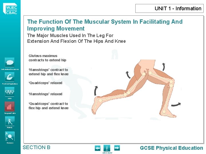 UNIT 1 - Information The Function Of The Muscular System In Facilitating And Improving