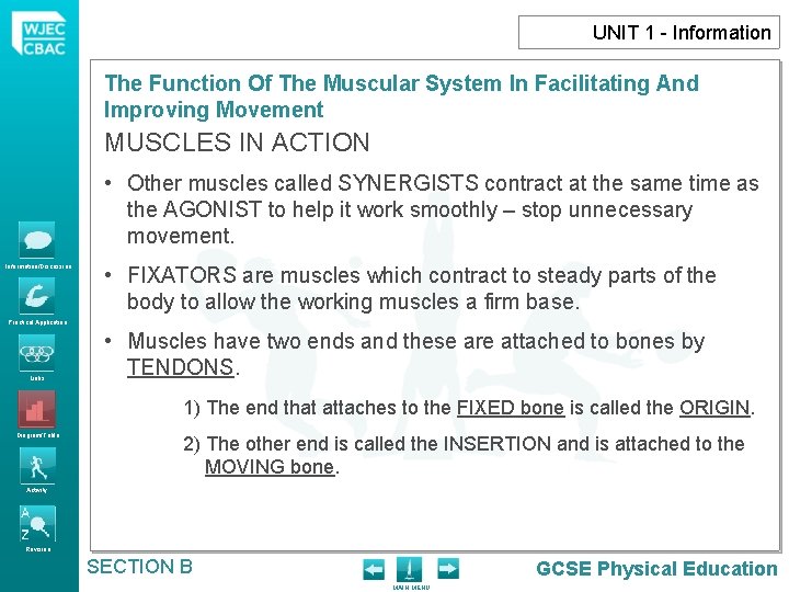 UNIT 1 - Information The Function Of The Muscular System In Facilitating And Improving
