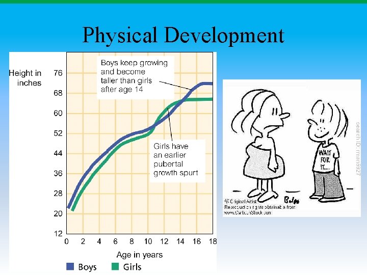 Physical Development Physical Development