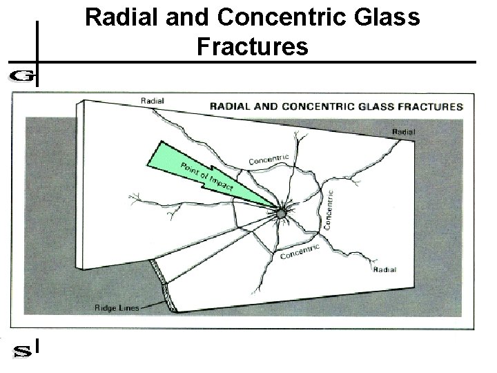 Radial and Concentric Glass Fractures 