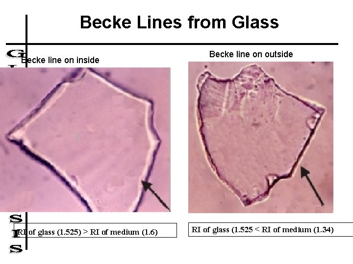 Becke Lines from Glass Becke line on inside RI of glass (1. 525) >
