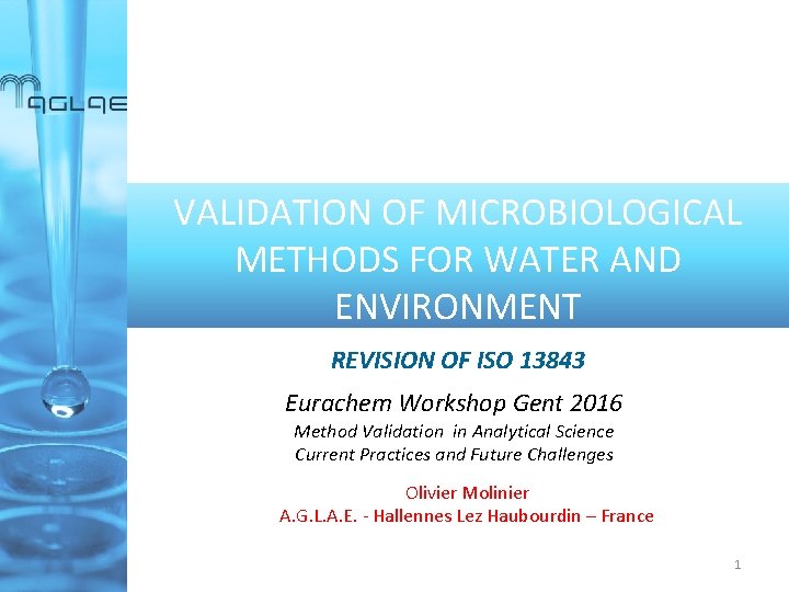 VALIDATION OF MICROBIOLOGICAL METHODS FOR WATER AND ENVIRONMENT REVISION OF ISO 13843 Eurachem Workshop