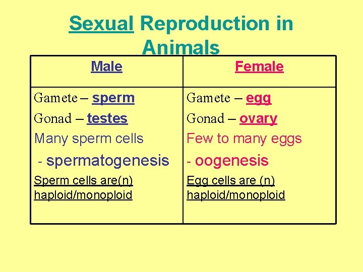 Sexual Reproduction in Animals Male Female Gamete – sperm Gonad – testes Many sperm