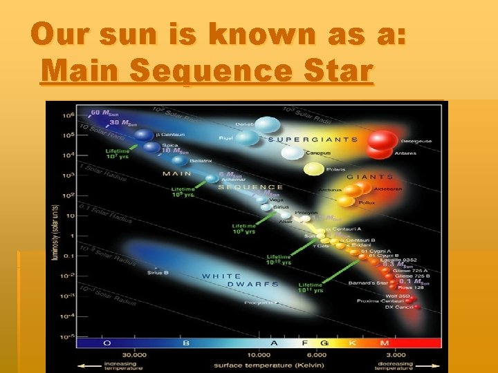 Our sun is known as a: Main Sequence Star 