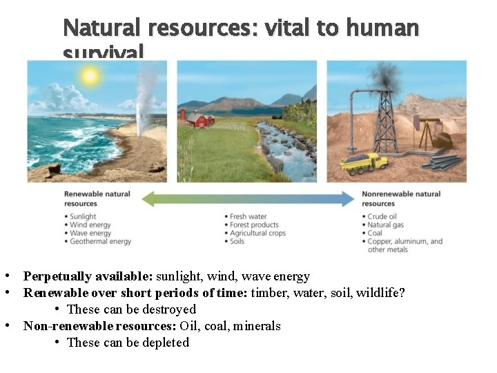 Natural resources: vital to human survival substances and energy sources needed for survival •