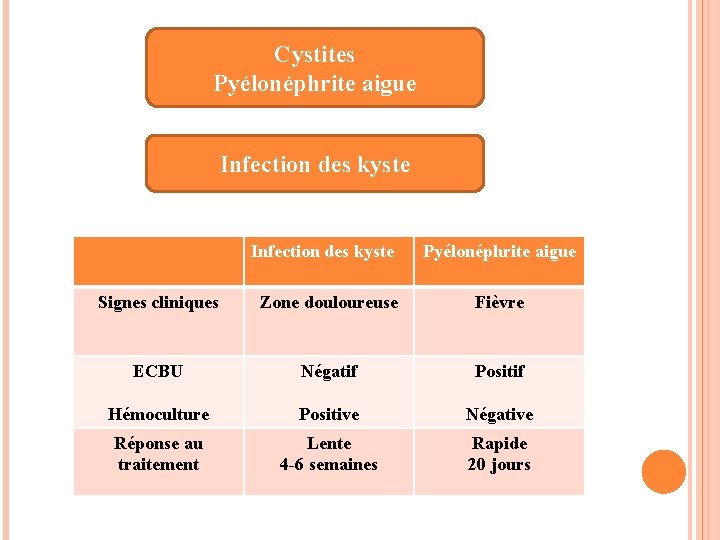 Cystites Pyélonéphrite aigue Infection des kyste Pyélonéphrite aigue Signes cliniques Zone douloureuse Fièvre ECBU