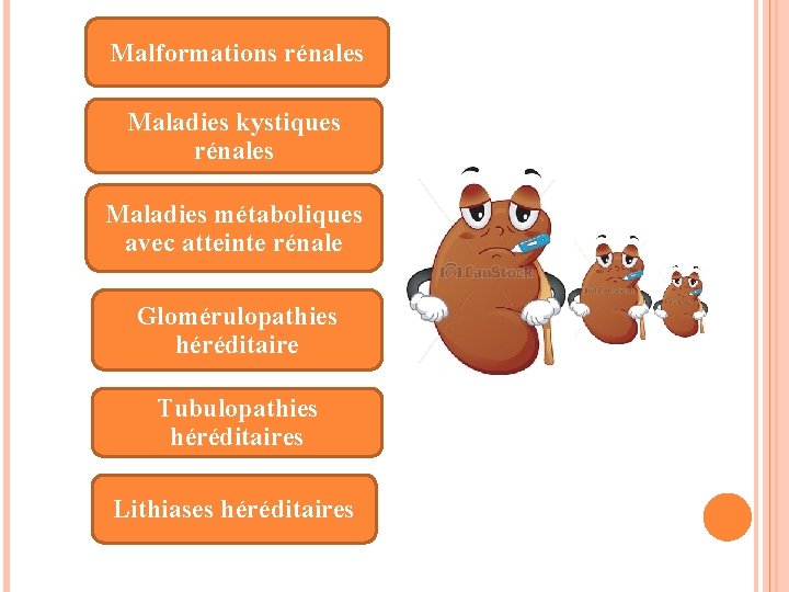 Malformations rénales Maladies kystiques rénales Maladies métaboliques avec atteinte rénale Glomérulopathies héréditaire Tubulopathies héréditaires