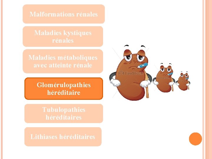 Malformations rénales Maladies kystiques rénales Maladies métaboliques avec atteinte rénale Glomérulopathies héréditaire Tubulopathies héréditaires