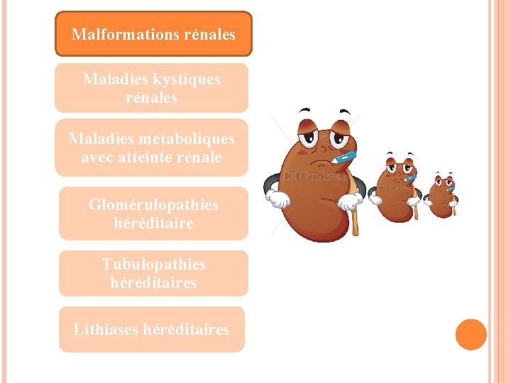 Malformations rénales Maladies kystiques rénales Maladies métaboliques avec atteinte rénale Glomérulopathies héréditaire Tubulopathies héréditaires