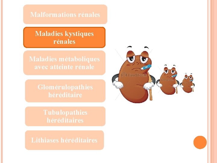 Malformations rénales Maladies kystiques rénales Maladies métaboliques avec atteinte rénale Glomérulopathies héréditaire Tubulopathies héréditaires