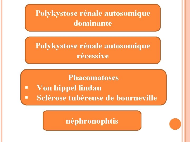 Polykystose rénale autosomique dominante Polykystose rénale autosomique récessive § § Phacomatoses Von hippel lindau