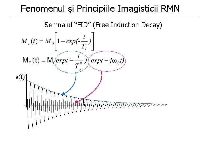 Fenomenul şi Principiile Imagisticii RMN Semnalul “FID” (Free Induction Decay) s(t) t Fenomenul şi Principiile Imagisticii RMN Semnalul “FID” (Free Induction Decay) s(t) t