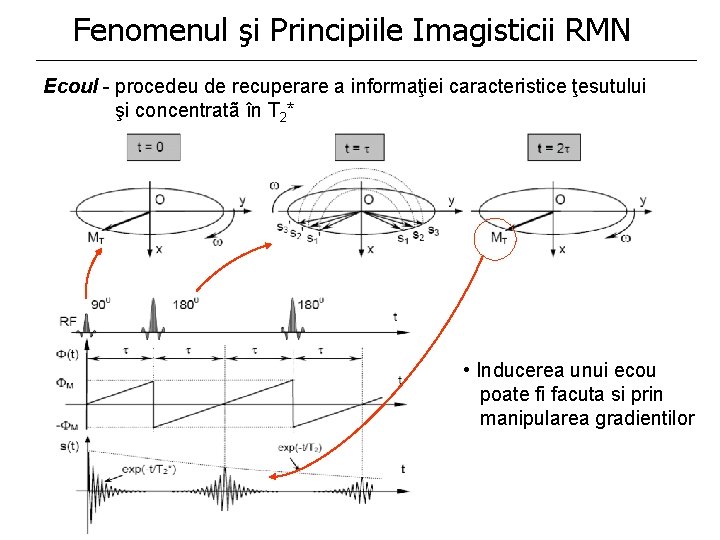 Fenomenul şi Principiile Imagisticii RMN Ecoul - procedeu de recuperare a informaţiei caracteristice ţesutului Fenomenul şi Principiile Imagisticii RMN Ecoul - procedeu de recuperare a informaţiei caracteristice ţesutului