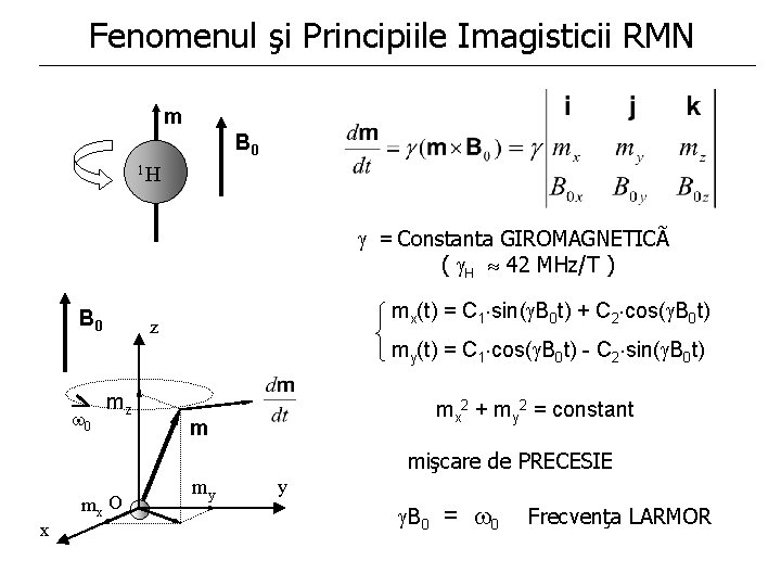 Fenomenul şi Principiile Imagisticii RMN m B 0 1 H = Constanta GIROMAGNETICÃ ( Fenomenul şi Principiile Imagisticii RMN m B 0 1 H = Constanta GIROMAGNETICÃ (