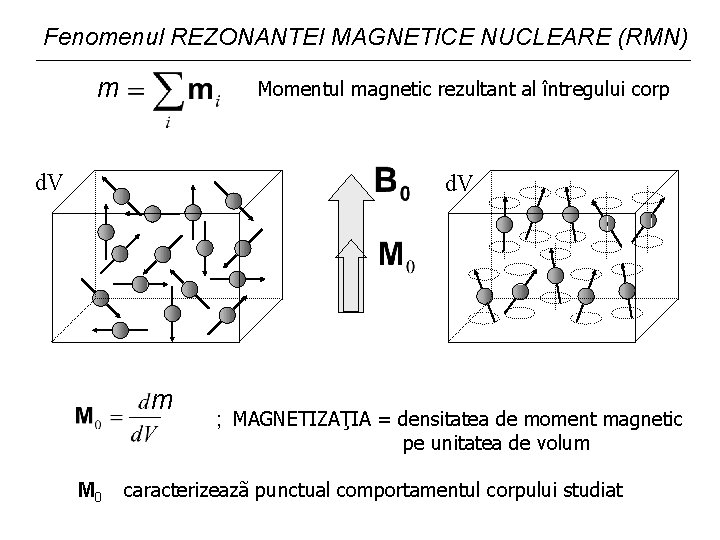 Fenomenul REZONANTEI MAGNETICE NUCLEARE (RMN) m Momentul magnetic rezultant al întregului corp d. V Fenomenul REZONANTEI MAGNETICE NUCLEARE (RMN) m Momentul magnetic rezultant al întregului corp d. V