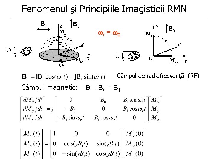 Fenomenul şi Principiile Imagisticii RMN B 1 z B 0 r = 0 Mz Fenomenul şi Principiile Imagisticii RMN B 1 z B 0 r = 0 Mz