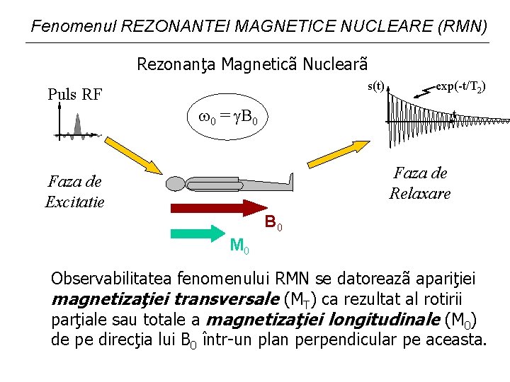Fenomenul REZONANTEI MAGNETICE NUCLEARE (RMN) Rezonanţa Magneticã Nuclearã s(t) Puls RF exp(-t/T 2) 0 Fenomenul REZONANTEI MAGNETICE NUCLEARE (RMN) Rezonanţa Magneticã Nuclearã s(t) Puls RF exp(-t/T 2) 0