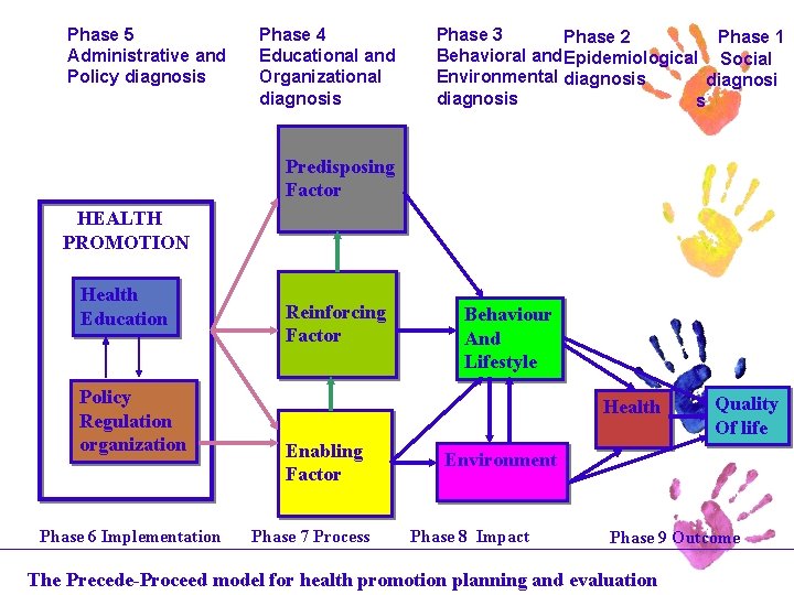 Phase 5 Administrative and Policy diagnosis Phase 4 Educational and Organizational diagnosis Phase 3