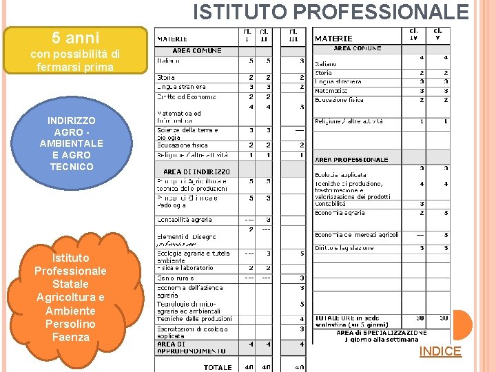 ISTITUTO PROFESSIONALE 5 anni con possibilità di fermarsi prima INDIRIZZO AGRO AMBIENTALE E AGRO