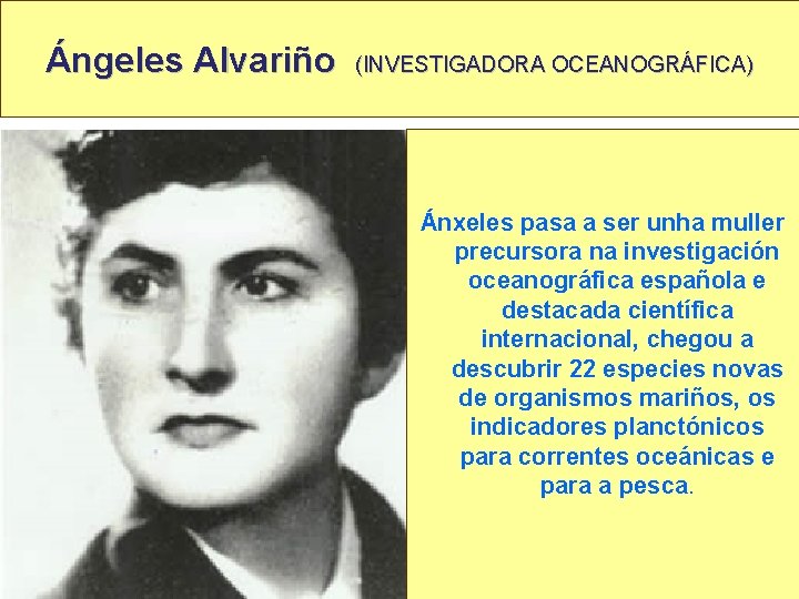 Ángeles Alvariño (INVESTIGADORA OCEANOGRÁFICA) Ánxeles pasa a ser unha muller precursora na investigación oceanográfica