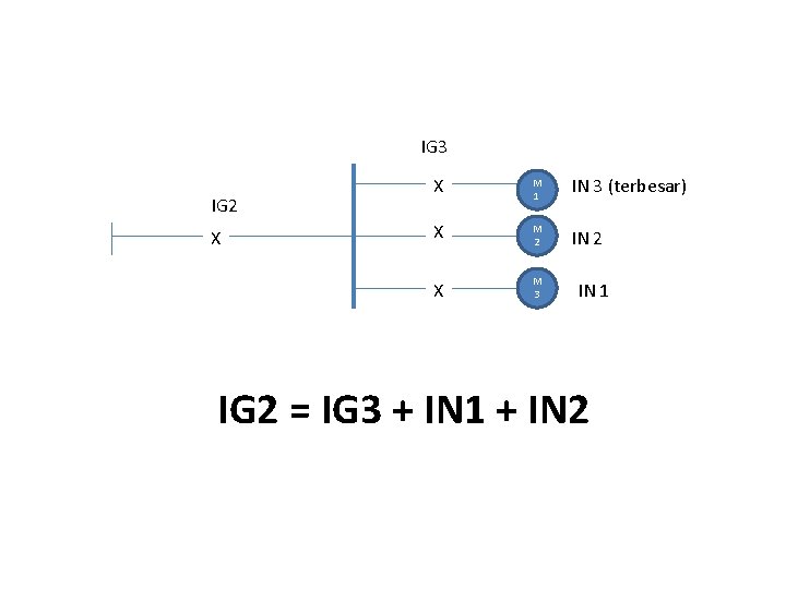 IG 3 IG 2 X X M 1 IN 3 (terbesar) X M 2