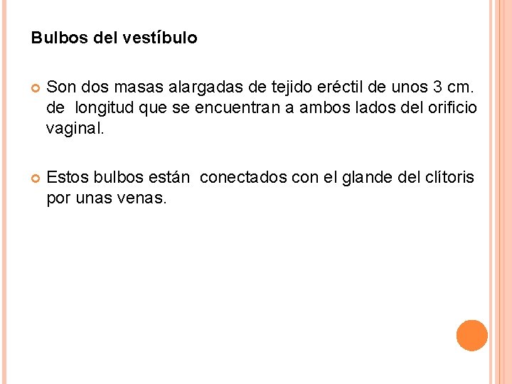 Bulbos del vestíbulo Son dos masas alargadas de tejido eréctil de unos 3 cm.