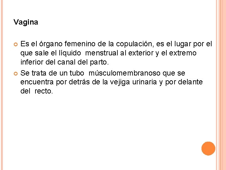Vagina Es el órgano femenino de la copulación, es el lugar por el que Vagina Es el órgano femenino de la copulación, es el lugar por el que