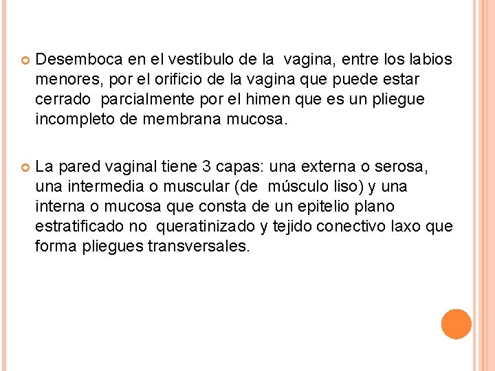  Desemboca en el vestíbulo de la vagina, entre los labios menores, por el