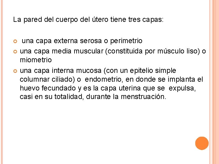 La pared del cuerpo del útero tiene tres capas: una capa externa serosa o