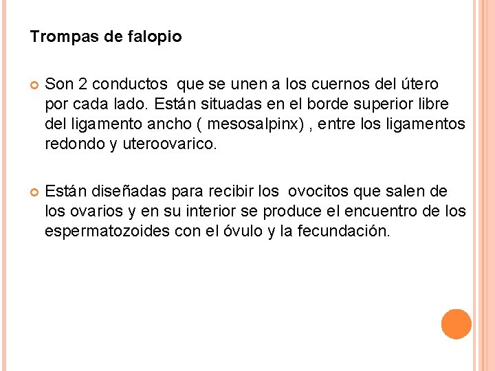 Trompas de falopio Son 2 conductos que se unen a los cuernos del útero