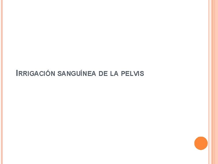 IRRIGACIÓN SANGUÍNEA DE LA PELVIS 