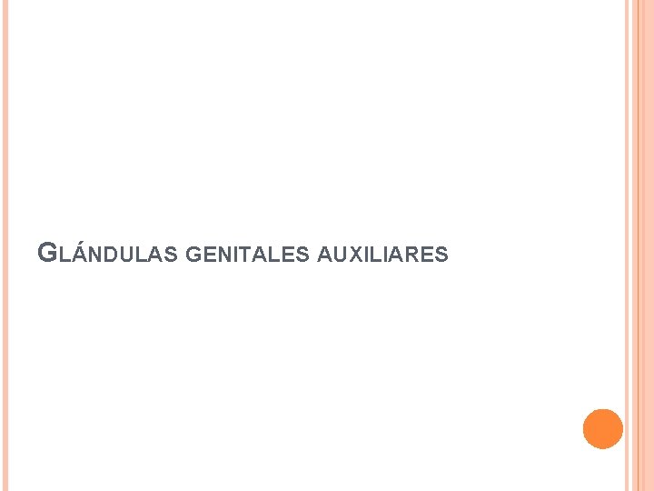 GLÁNDULAS GENITALES AUXILIARES 