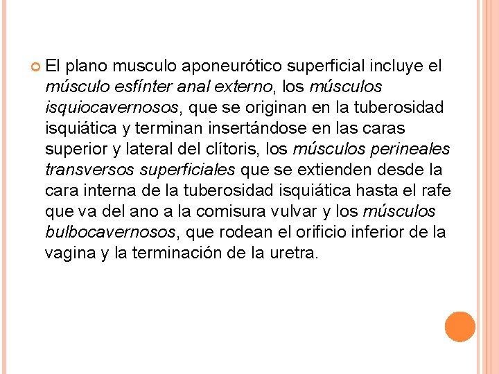  El plano musculo aponeurótico superficial incluye el músculo esfínter anal externo, los músculos