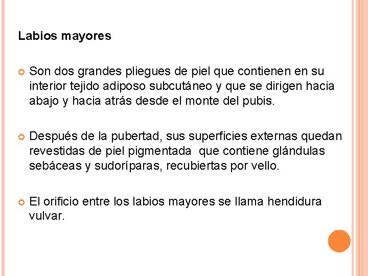 Labios mayores Son dos grandes pliegues de piel que contienen en su interior tejido