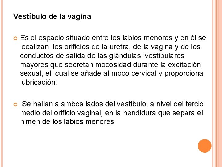 Vestíbulo de la vagina Es el espacio situado entre los labios menores y en