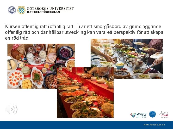 Kursen offentlig rätt (ofantlig rätt…) är ett smörgåsbord av grundläggande offentlig rätt och där