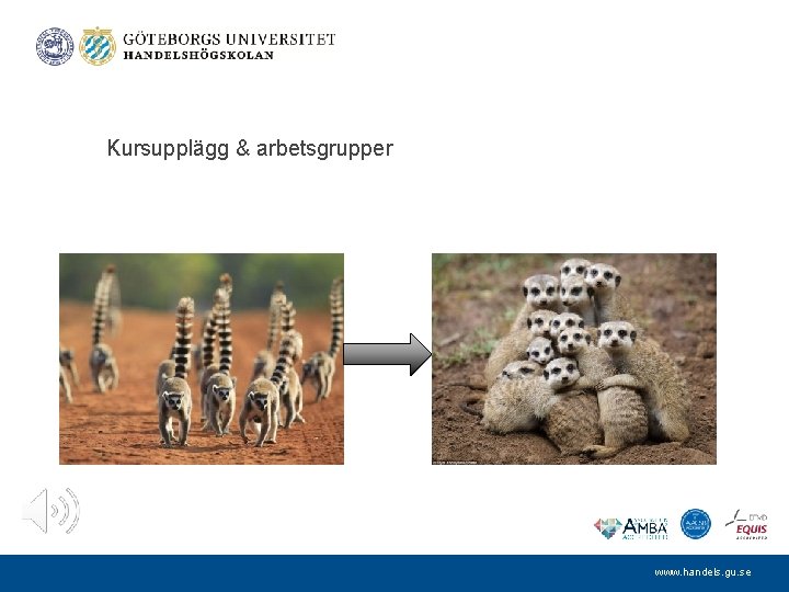 Kursupplägg & arbetsgrupper www. handels. gu. se 
