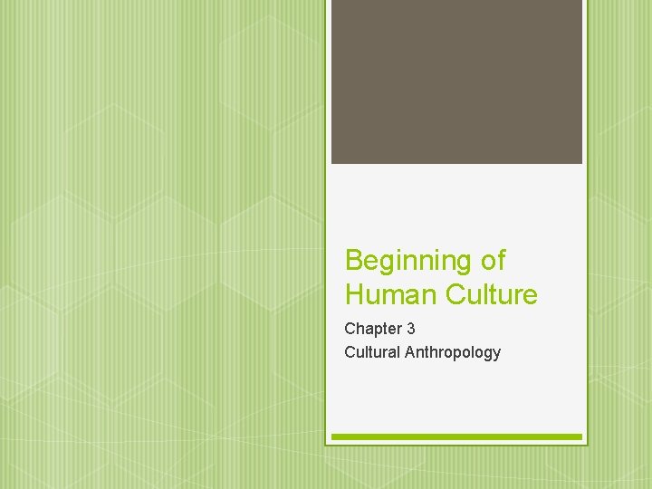 Beginning of Human Culture Chapter 3 Cultural Anthropology 
